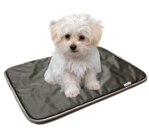 Pet Pad  with Water 